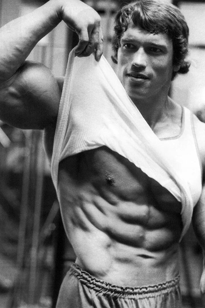 Arnold Schwarzenegger Bodybuil - огляд і ціна Home Gym Quotes